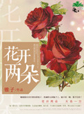 《花开两朵》封面