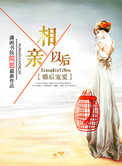 《婚后宠爱之相亲以后》封面