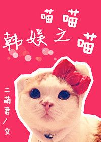 《韩娱之喵喵喵》封面