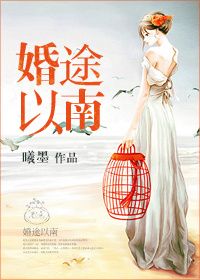 《婚途以南》封面