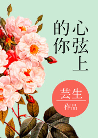 《心弦上的你》封面