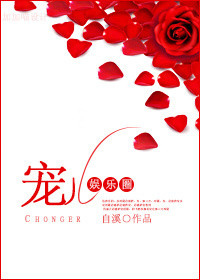 《宠儿（娱乐圈）》封面