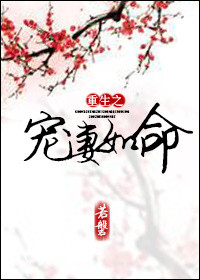 《重生之宠妻如命》封面