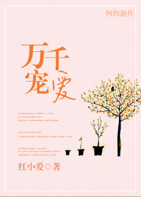 《万千宠爱（虐男主）》封面