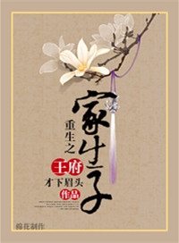 《重生之王府家生子》封面