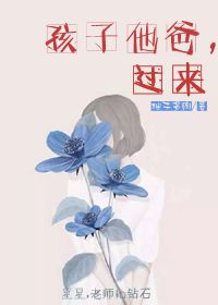 《孩子他爸，过来》封面