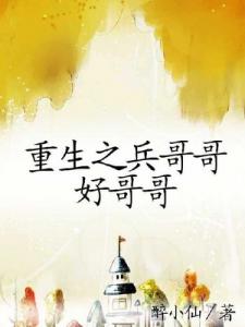 《重生之兵哥哥好哥哥》封面