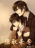 《强取豪夺（耽美）》封面