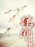 《鹤群》封面