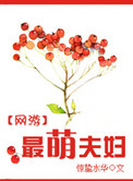 《网游之最萌夫妇》封面