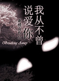 《我从不曾说爱你》封面