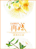 《再婚》封面