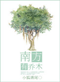 《南方有乔木》封面