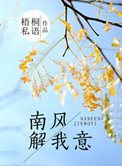 《南风解我意》封面