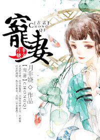 《重生之宠妻》封面