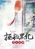 拯救黑化男主纪事(快穿)