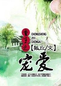 《重生之宠爱》封面