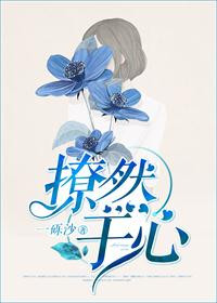 《撩然于心》封面