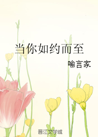 《当你如约而至》封面