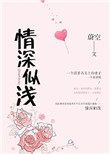 《情深似浅》封面