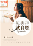 《一见男神就自燃》封面