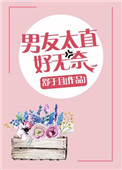 《男友太直好无奈》封面