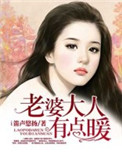 《老婆大人有点暖》封面