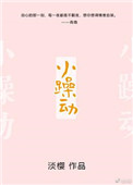 《小躁动》封面