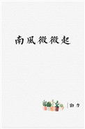 《南风微微起》封面