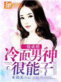 一撞成婚:冷面男神很能干