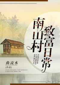 《南山村致富日常》封面