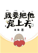 《我要把他宠上天》封面