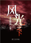 《风光之下》封面