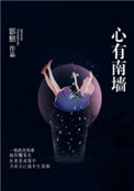 《心有南墙》封面