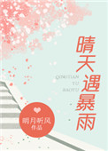 《晴天遇暴雨》封面