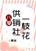八零供销社一枝花