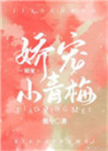 《娇宠小青梅》封面