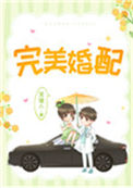 《完美婚配》封面