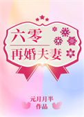 《六零再婚夫妻》封面