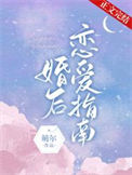 《婚后恋爱指南》封面