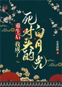 《重生后我成了死对头的白月光》封面