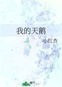 《我的天鹅（如何让暗恋的人向我表白）》封面