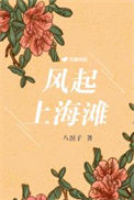 《风起上海滩》封面