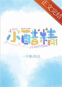 《小醋精》封面