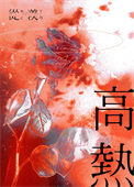 《高热》封面
