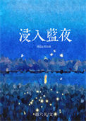 《浸入蓝夜》封面