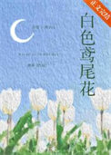 《白色鸢尾花》封面