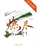 《燃尽》封面