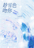 《趁雪色吻你》封面