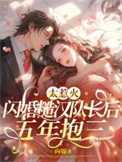 《太惹火，闪婚糙汉队长后五年抱三》封面